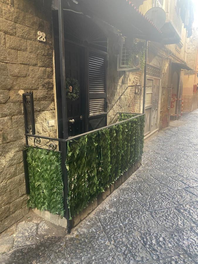 The Nest Of Via Toledo